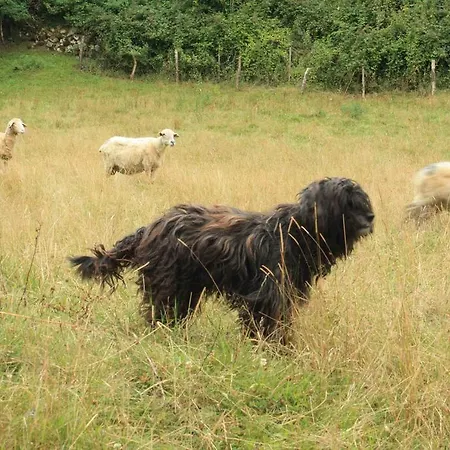 Vivienda Rural La Otra Casa Villa *