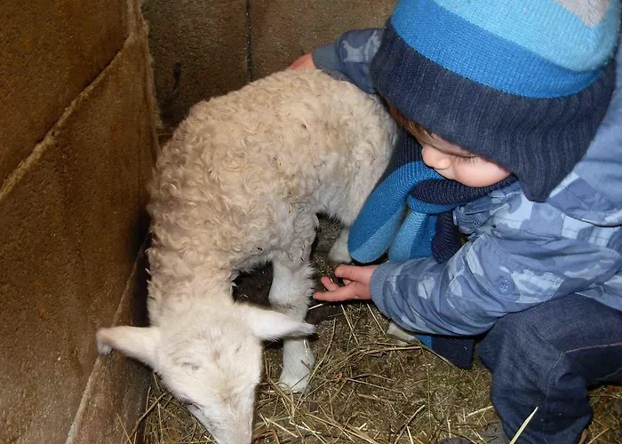 Vivienda Rural La Otra Casa Villa Arenas De Iguna