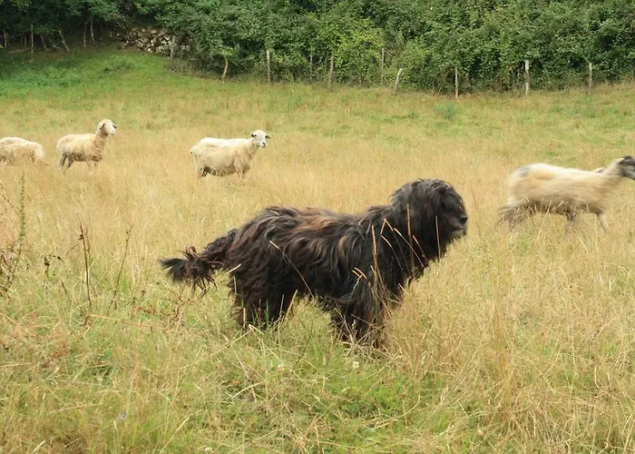 Vivienda Rural La Otra Casa Villa *
