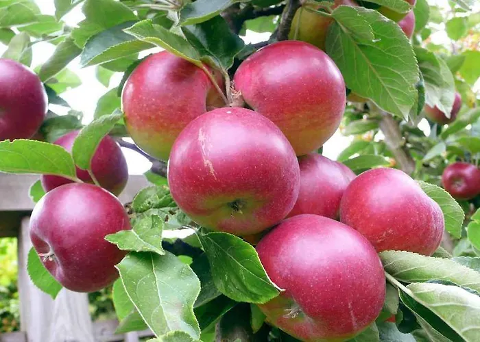 Vivienda Rural La Otra Casa Villa