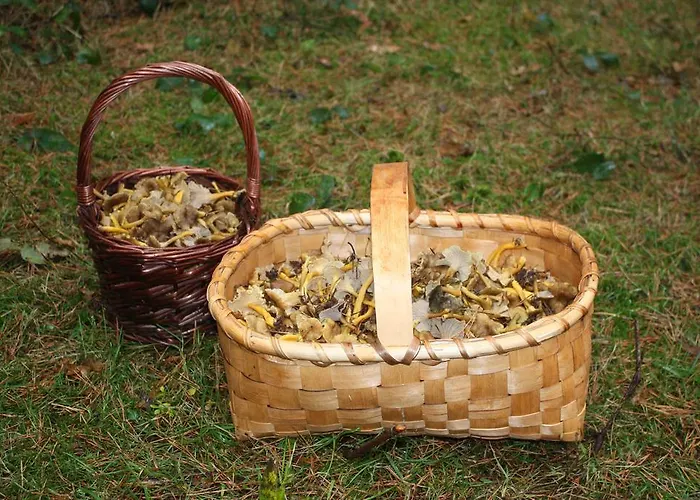 Villa Vivienda Rural La Otra Casa